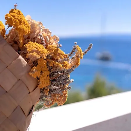 بيت ضيافة Pansion Marjan زافالا
