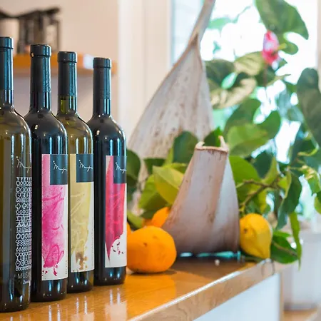 Pansion Marjan Gostinjska kuća